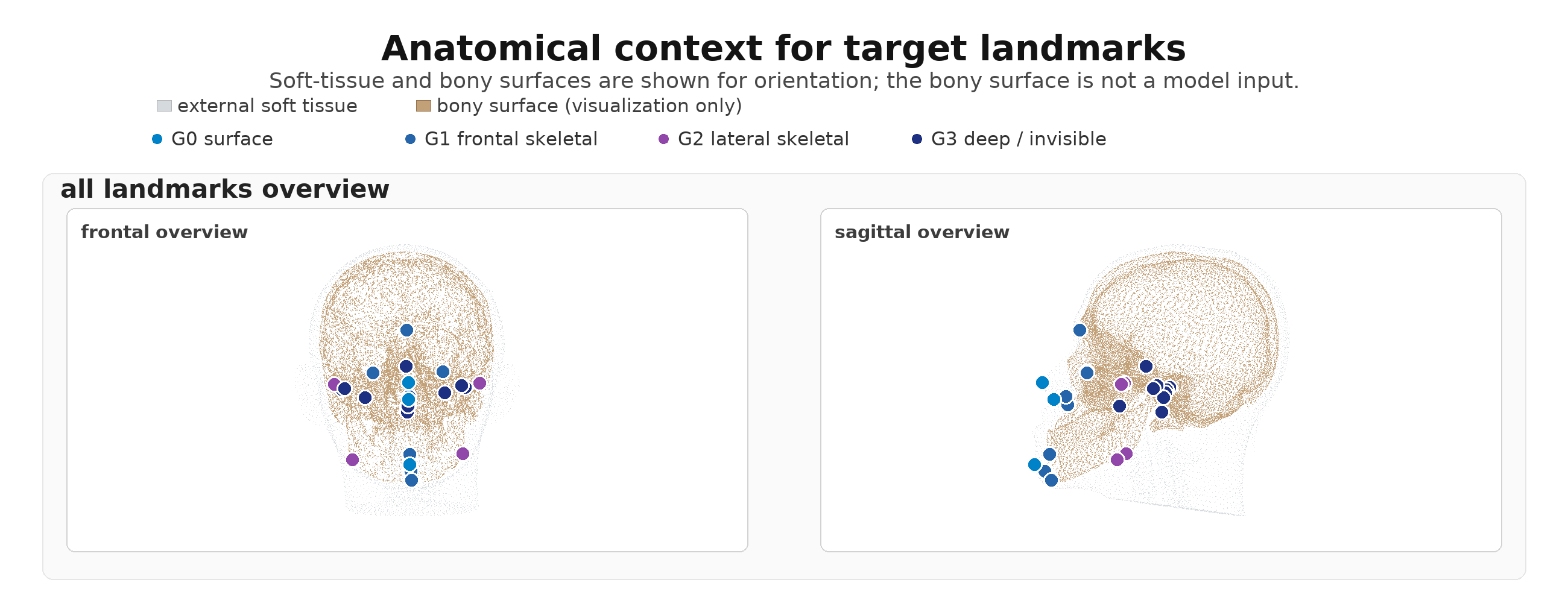 Anatomical context for the 24 target landmarks, grouped by surface observability from G0 surface points to G3 deep invisible points.