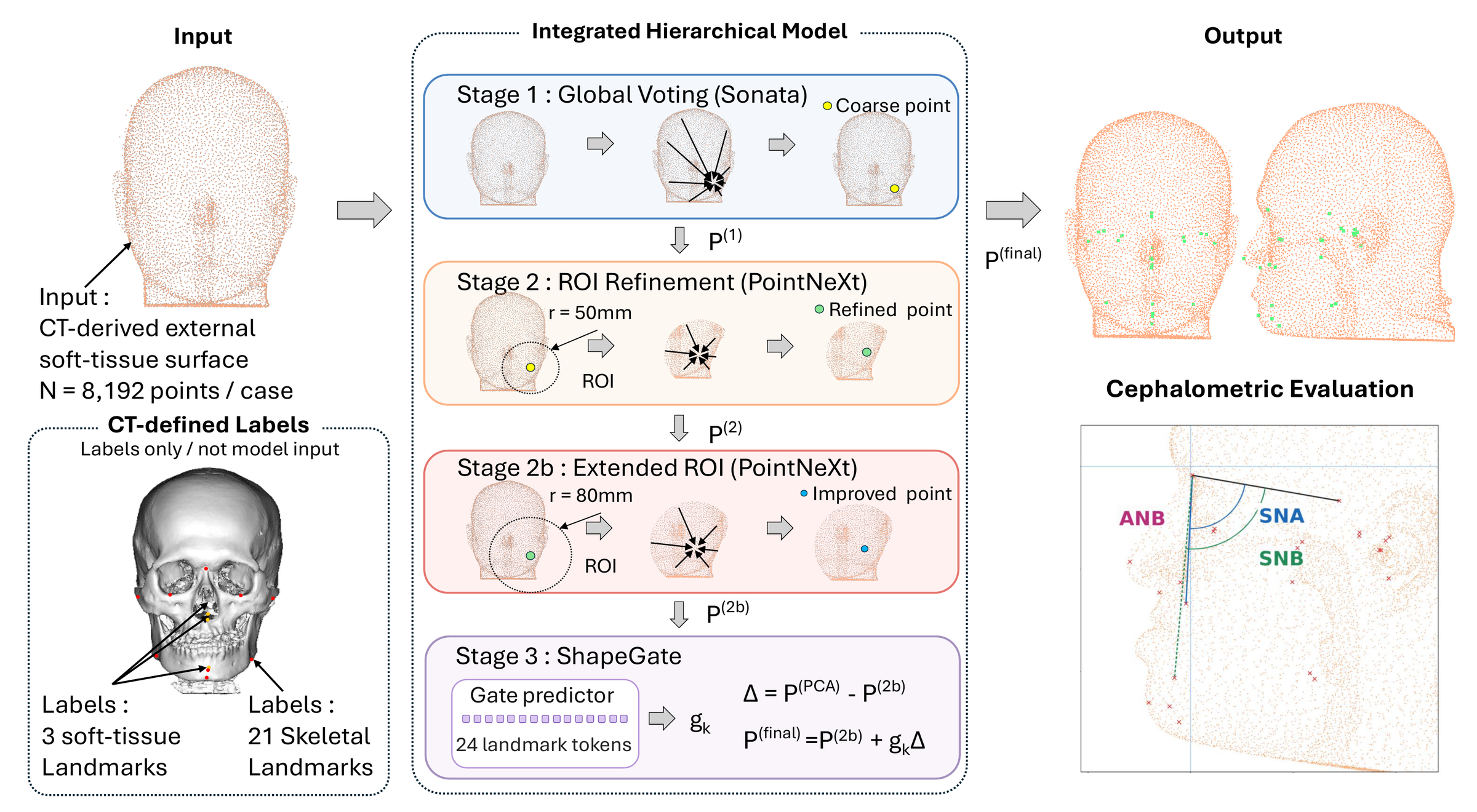 Overview: a CT-derived external soft-tissue point cloud is processed by a four-stage hierarchical model to predict 21 skeletal and 3 soft-tissue landmarks, evaluated with cephalometric measurements.